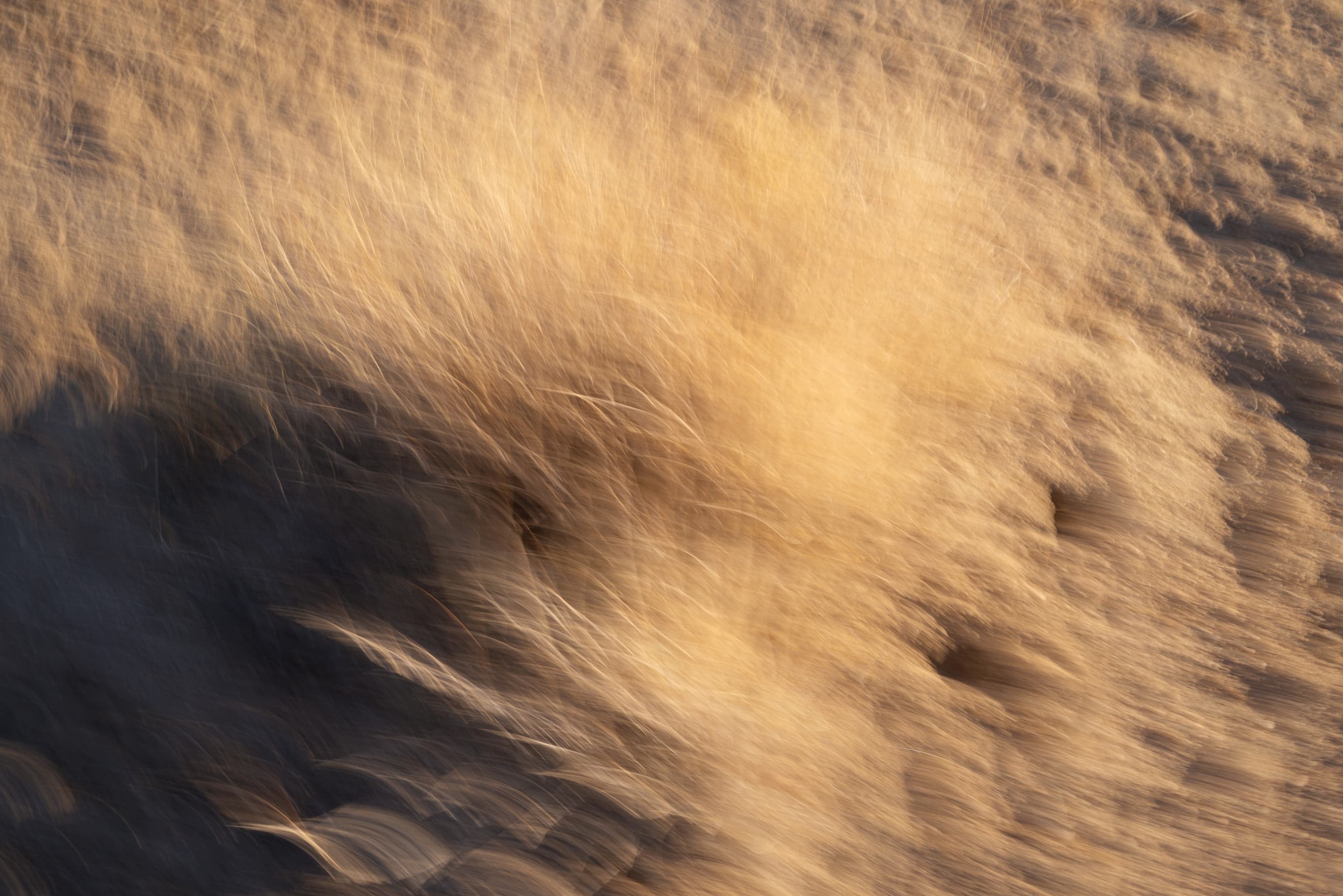 Rethinking Supplements: Designed for Women, Built for Balance